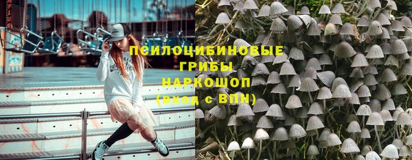 дживик Беломорск