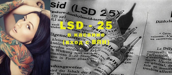 ECSTASY Белокуриха