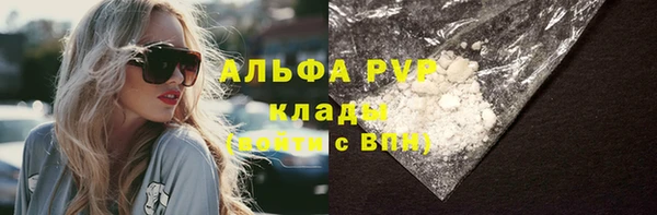 ECSTASY Белокуриха